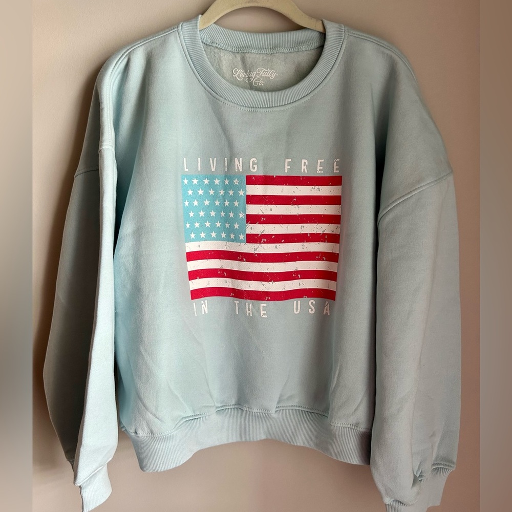 Living Fully Co Living Free in the USA Sweatshirt in Baby Blue